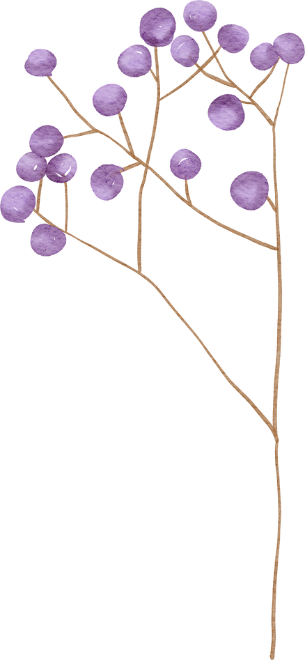 Watercolor Flower Branch 