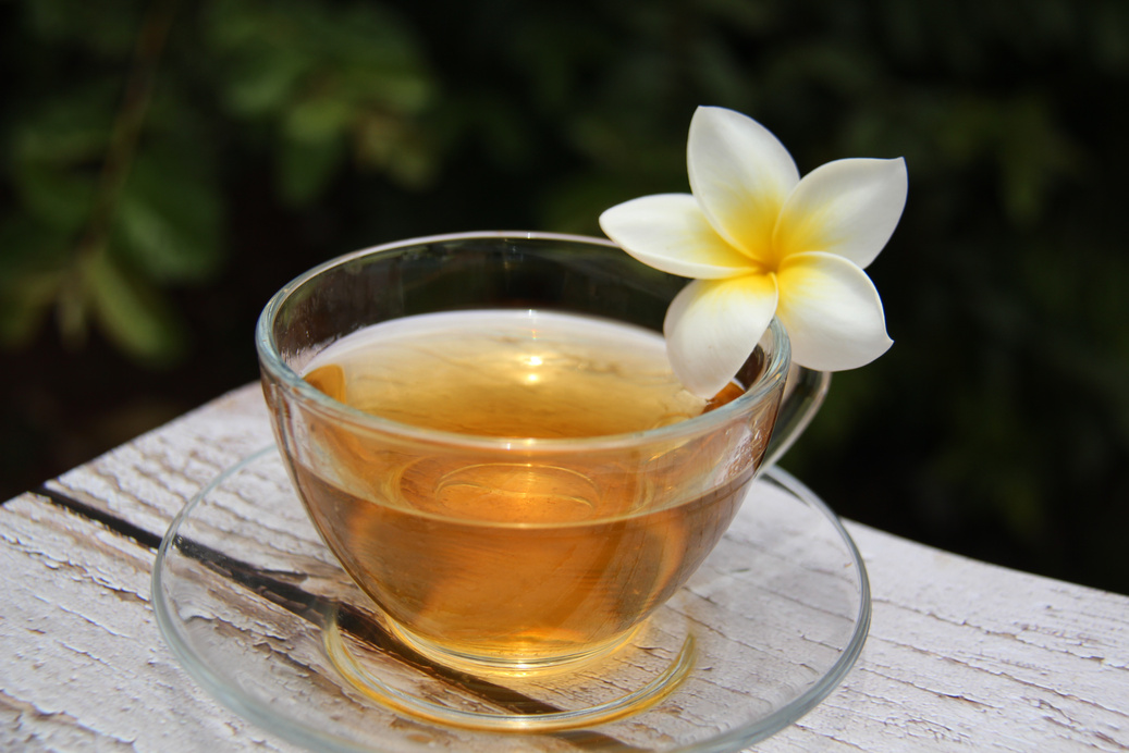 Mango jasmine (Plumeria rubra) tea.